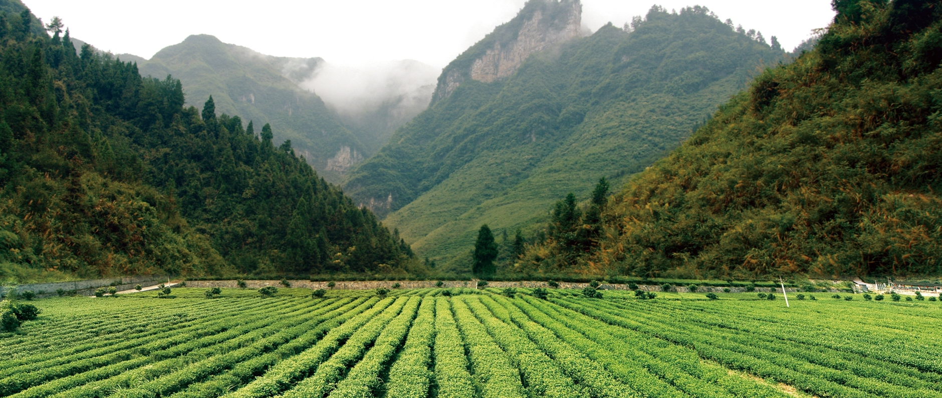 CQ9(电子中国)官方网站