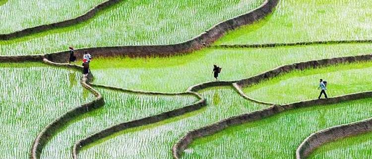 CQ9(电子中国)官方网站