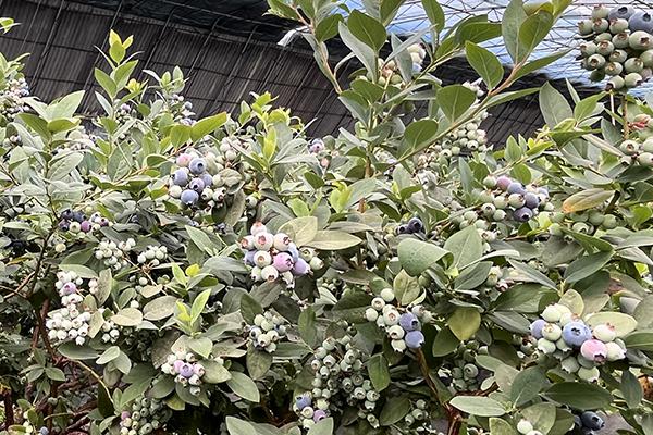 CQ9(电子中国)官方网站